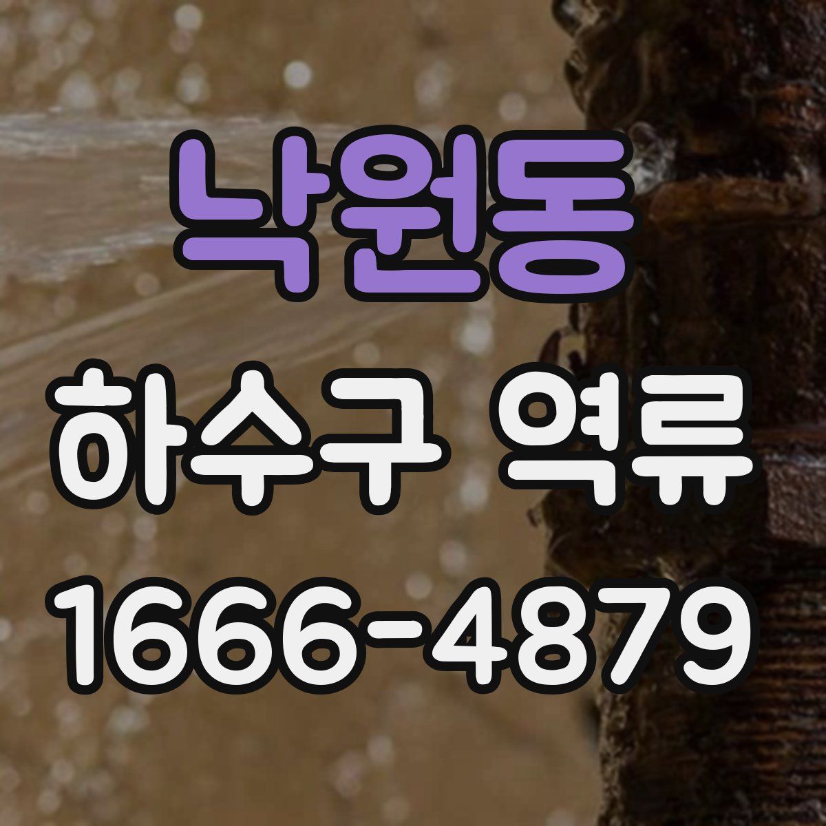 낙원동 하수구 역류