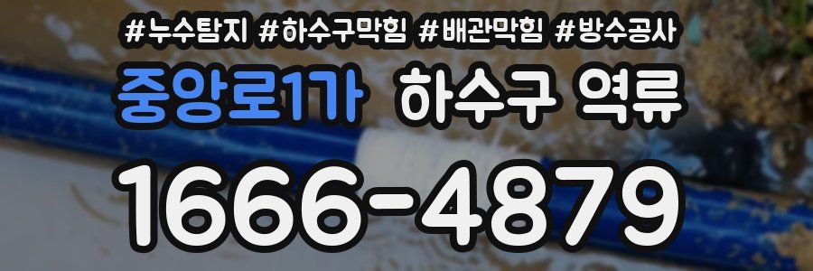 중앙로1가 하수구 역류