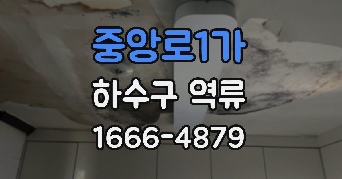 중앙로1가 하수구 역류