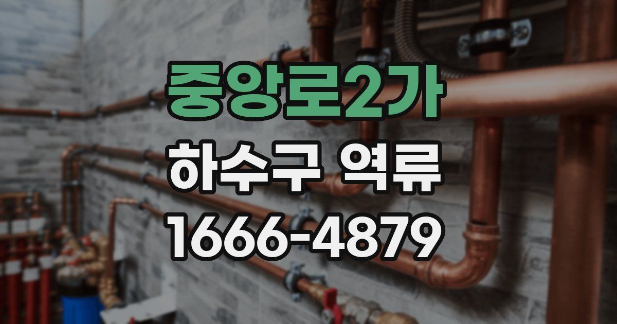 중앙로2가 하수구 역류