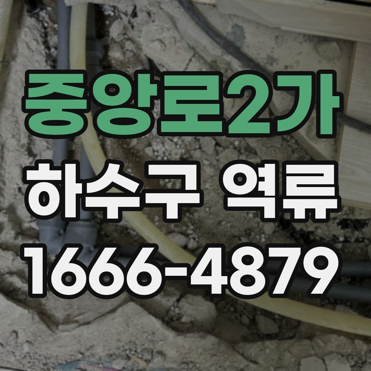중앙로2가 하수구 역류