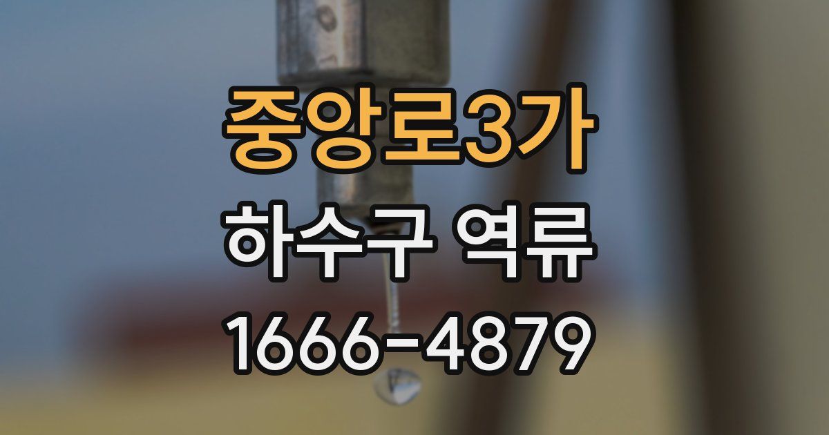 중앙로3가 하수구 역류
