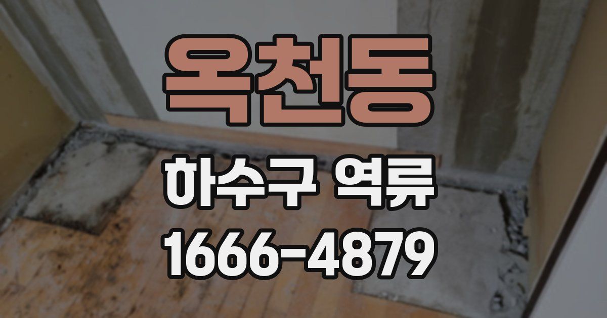 옥천동 하수구 역류