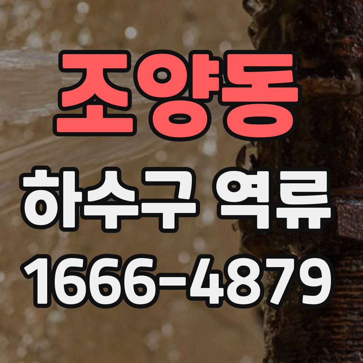 조양동 하수구 역류