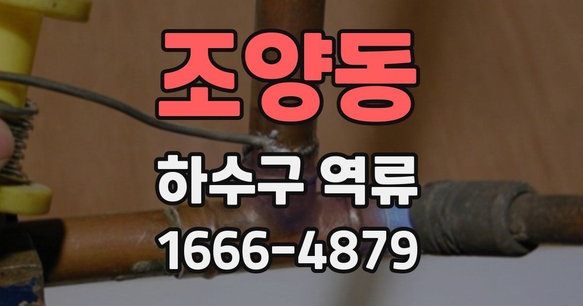 조양동 하수구 역류