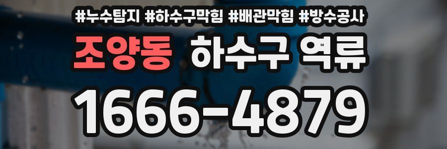 조양동 하수구 역류