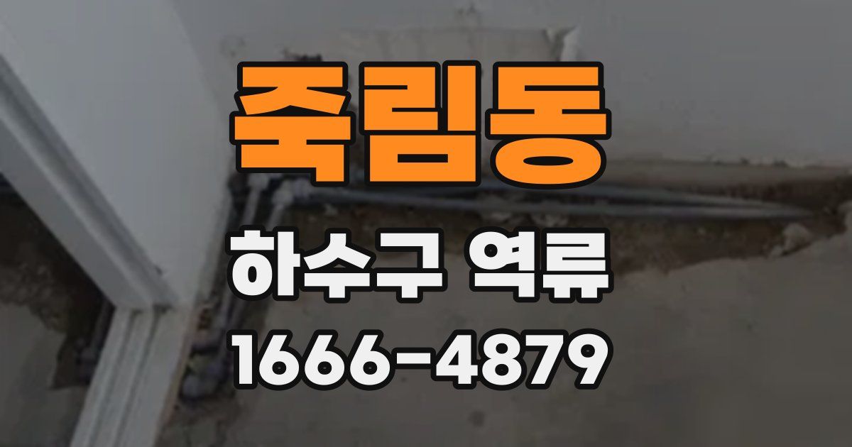 죽림동 하수구 역류