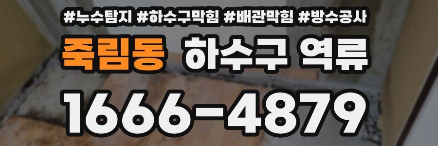 죽림동 하수구 역류