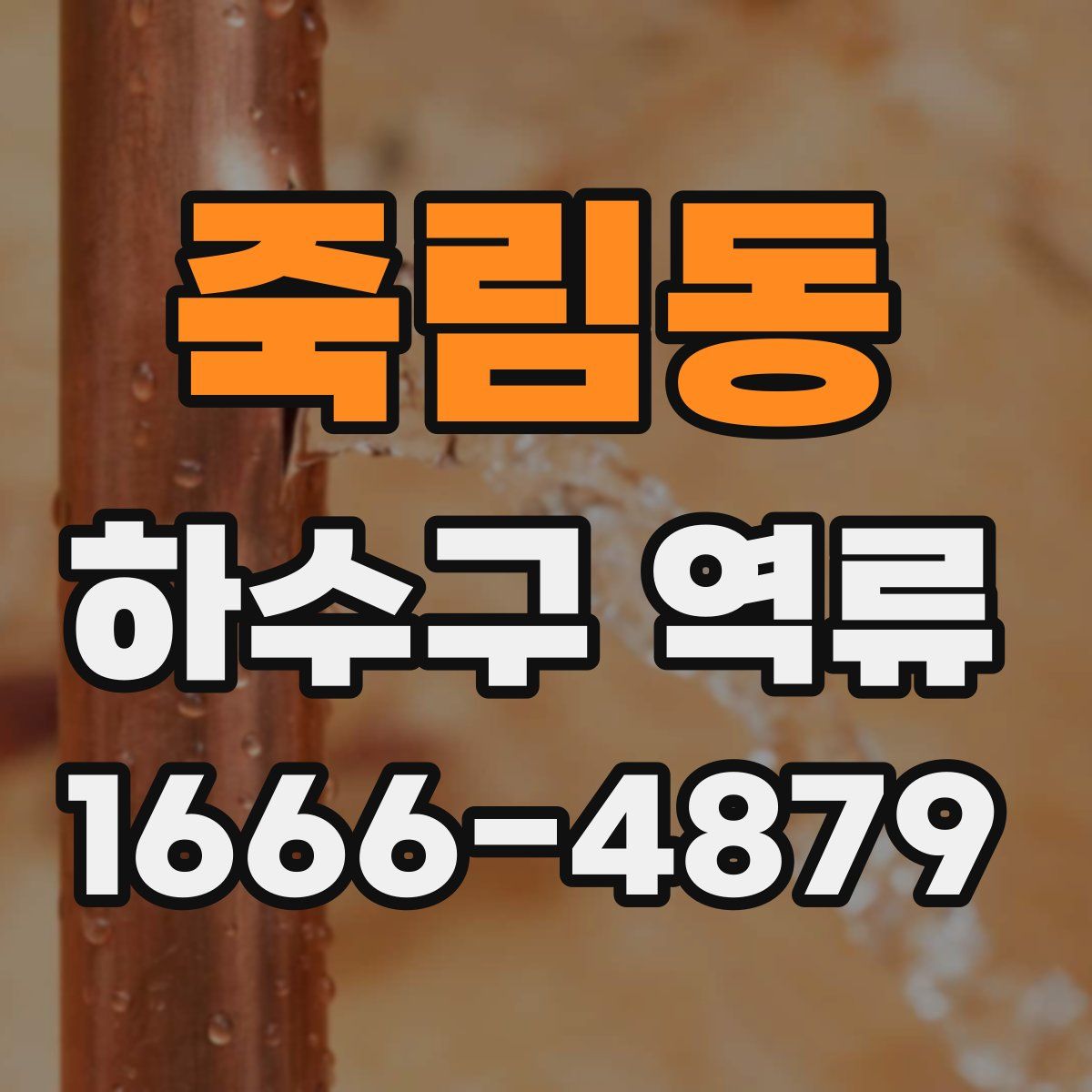 죽림동 하수구 역류