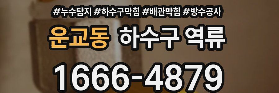 운교동 하수구 역류