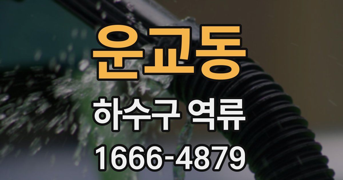 운교동 하수구 역류