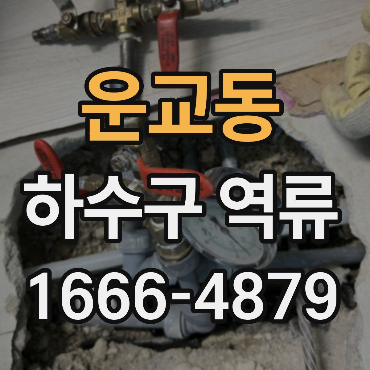 운교동 하수구 역류