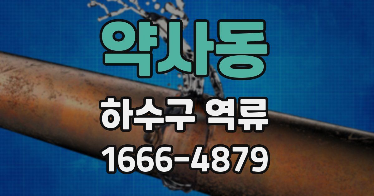 약사동 하수구 역류
