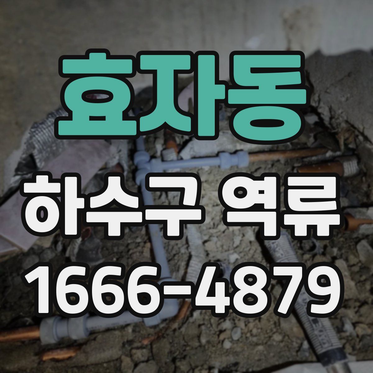 효자동 하수구 역류