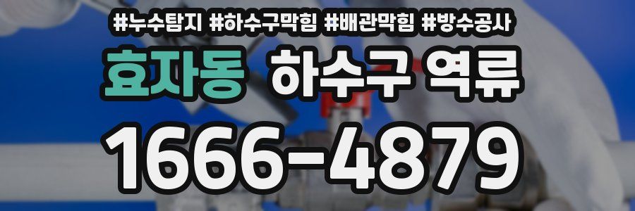 효자동 하수구 역류