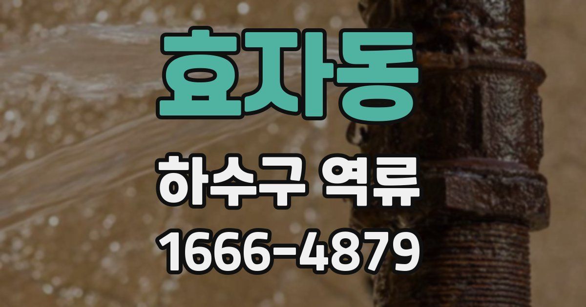 효자동 하수구 역류