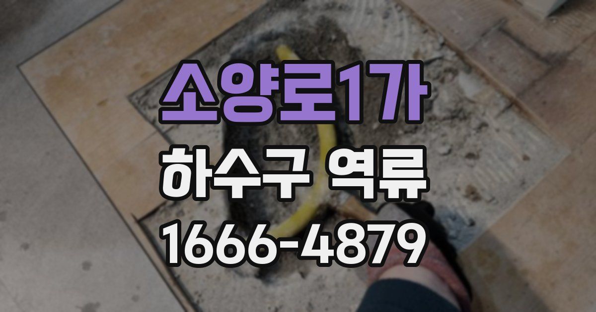 소양로1가 하수구 역류