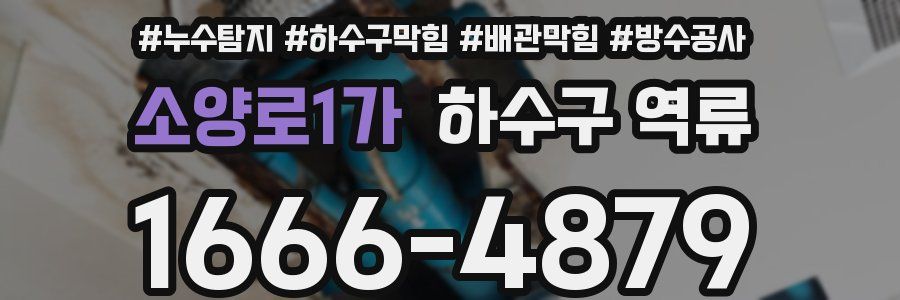 소양로1가 하수구 역류