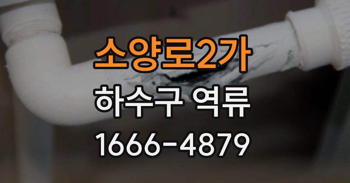 소양로2가 하수구 역류