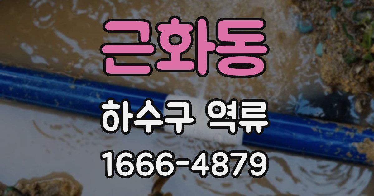 근화동 하수구 역류