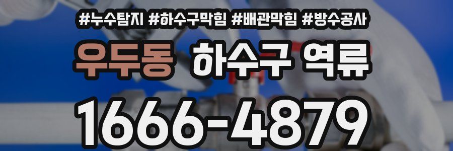 우두동 하수구 역류