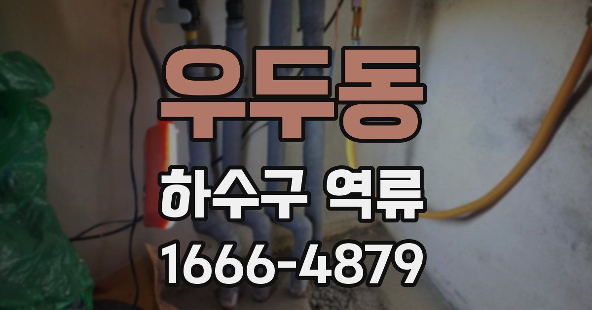 우두동 하수구 역류