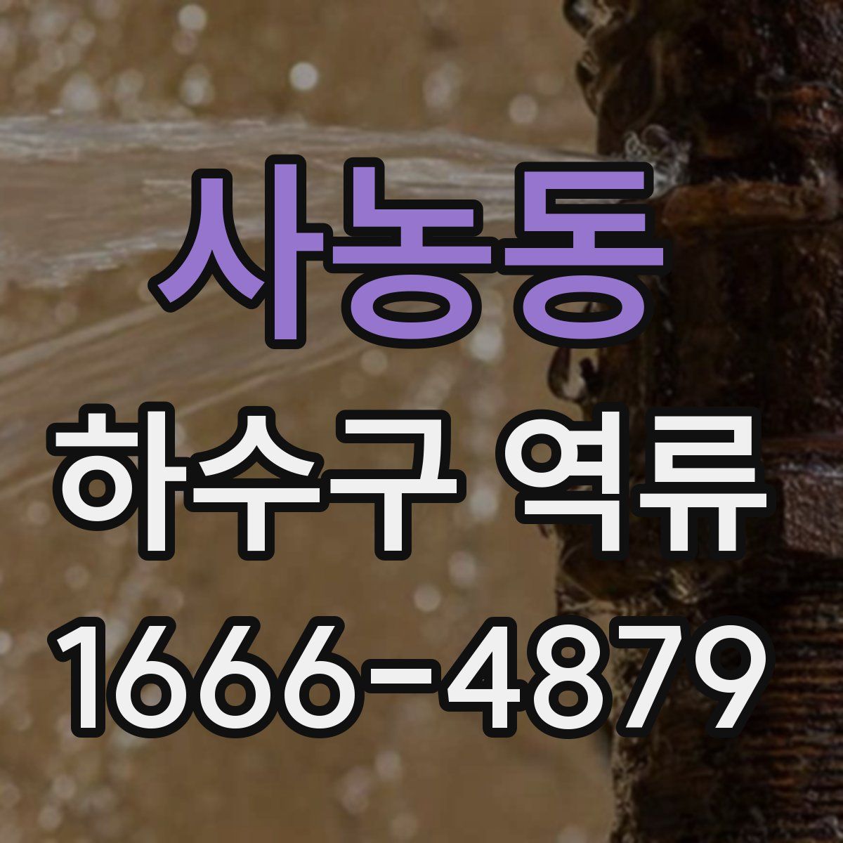사농동 하수구 역류