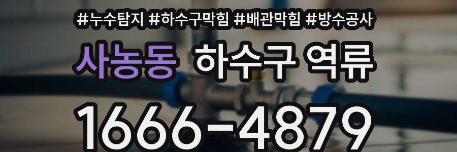 사농동 하수구 역류