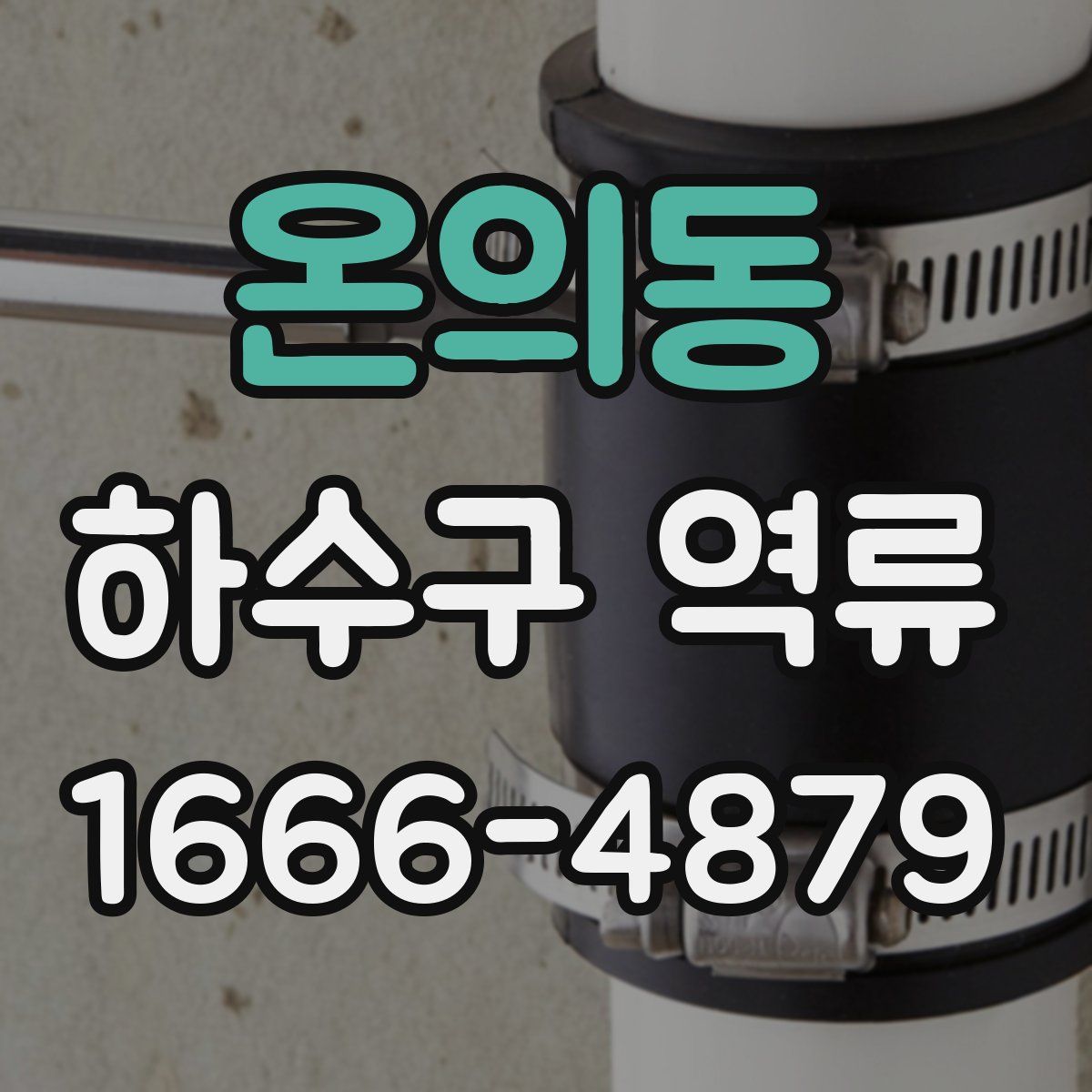 온의동 하수구 역류
