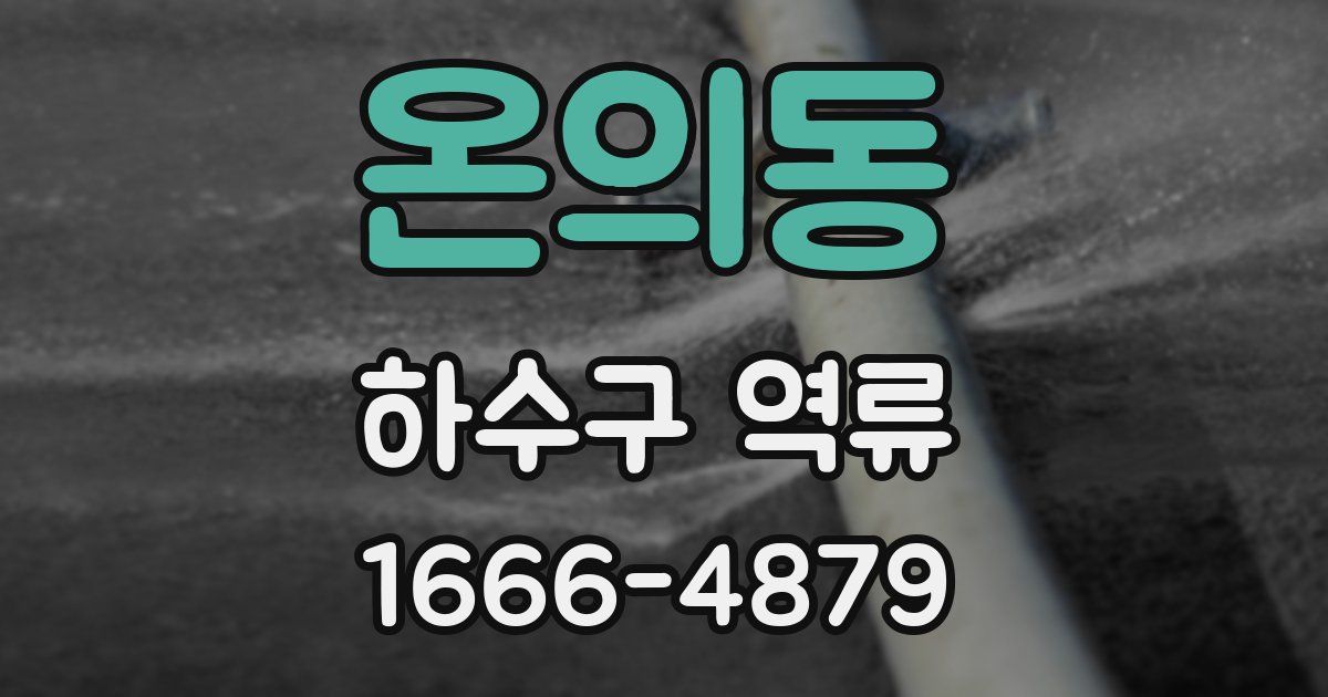 온의동 하수구 역류