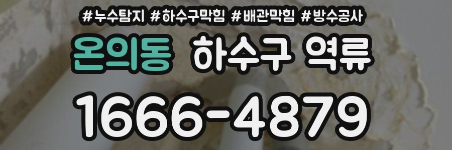 온의동 하수구 역류