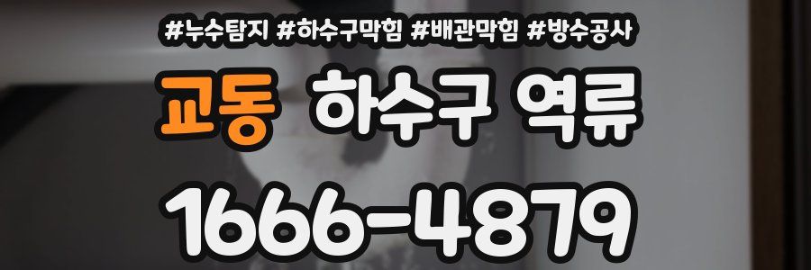 교동 하수구 역류
