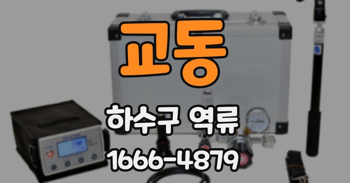 교동 하수구 역류