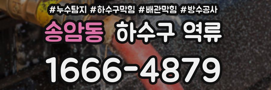송암동 하수구 역류