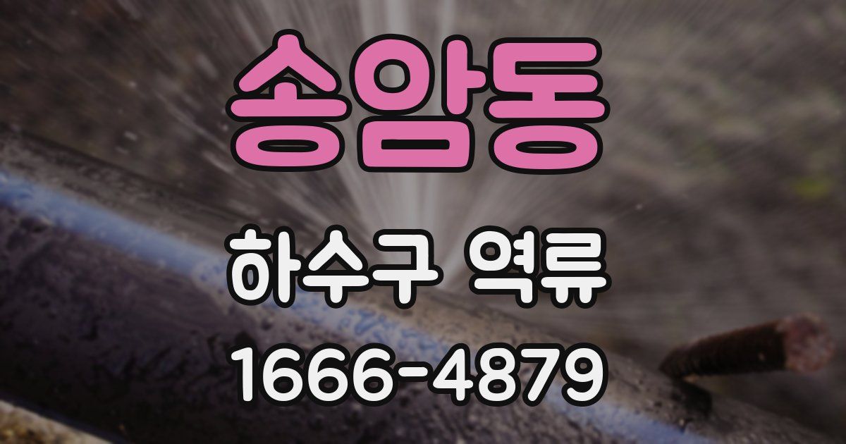 송암동 하수구 역류