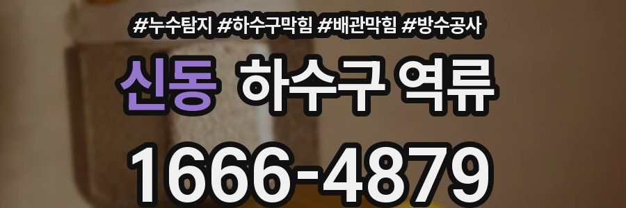 신동 하수구 역류