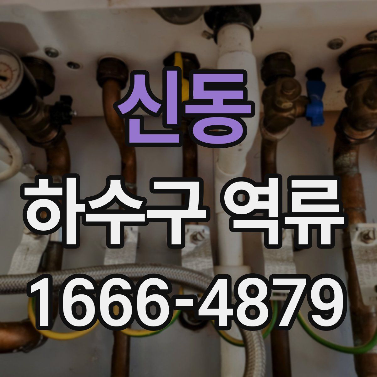 신동 하수구 역류