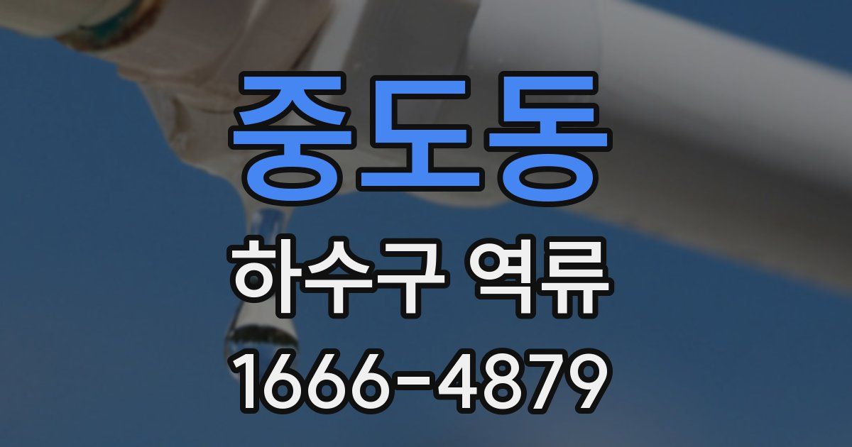 중도동 하수구 역류