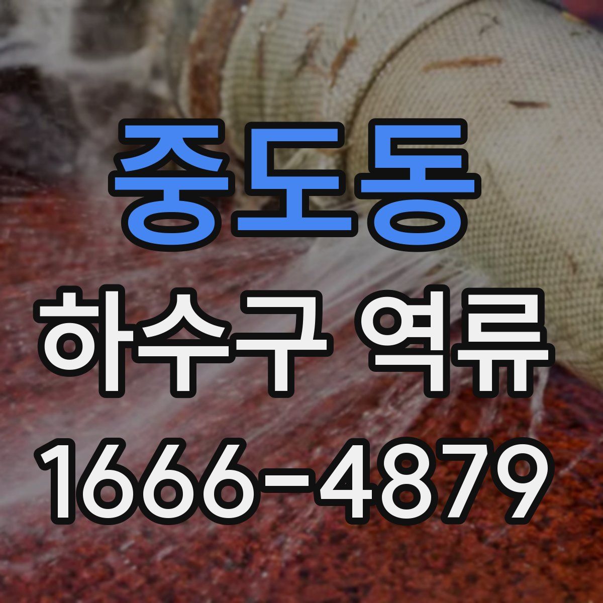 중도동 하수구 역류