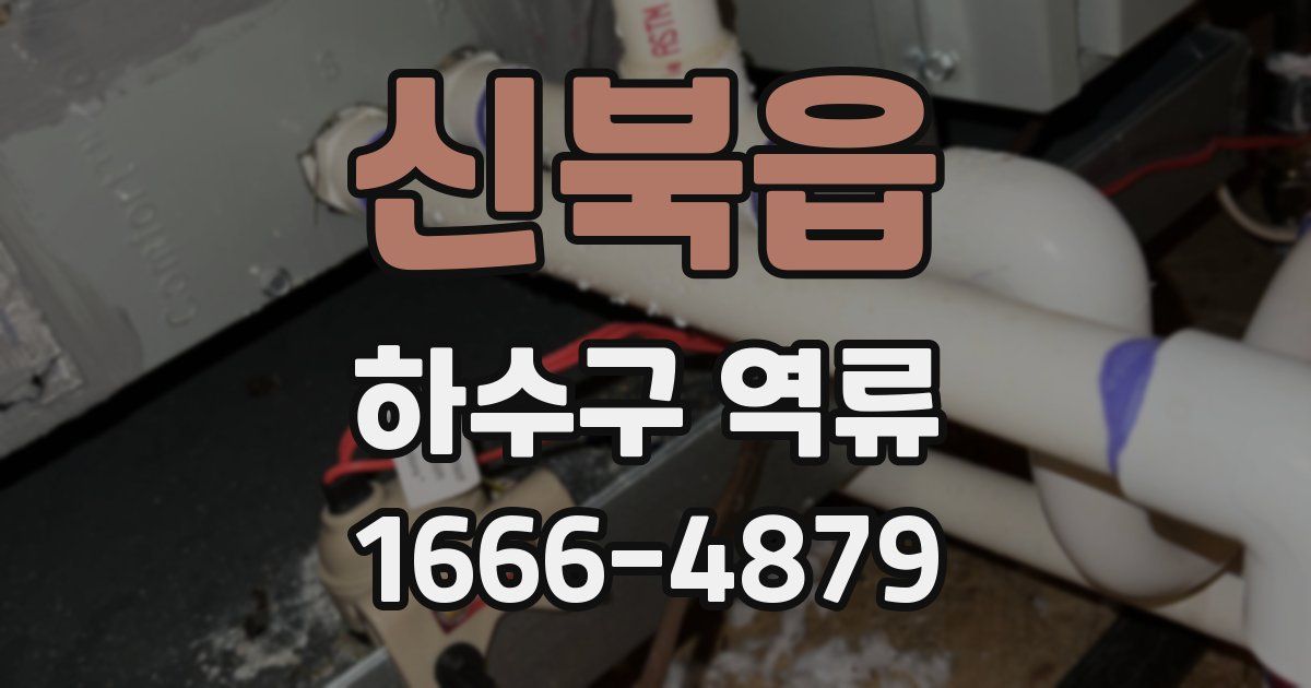 신북읍 하수구 역류