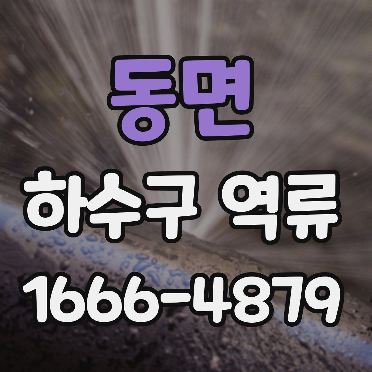 동면 하수구 역류