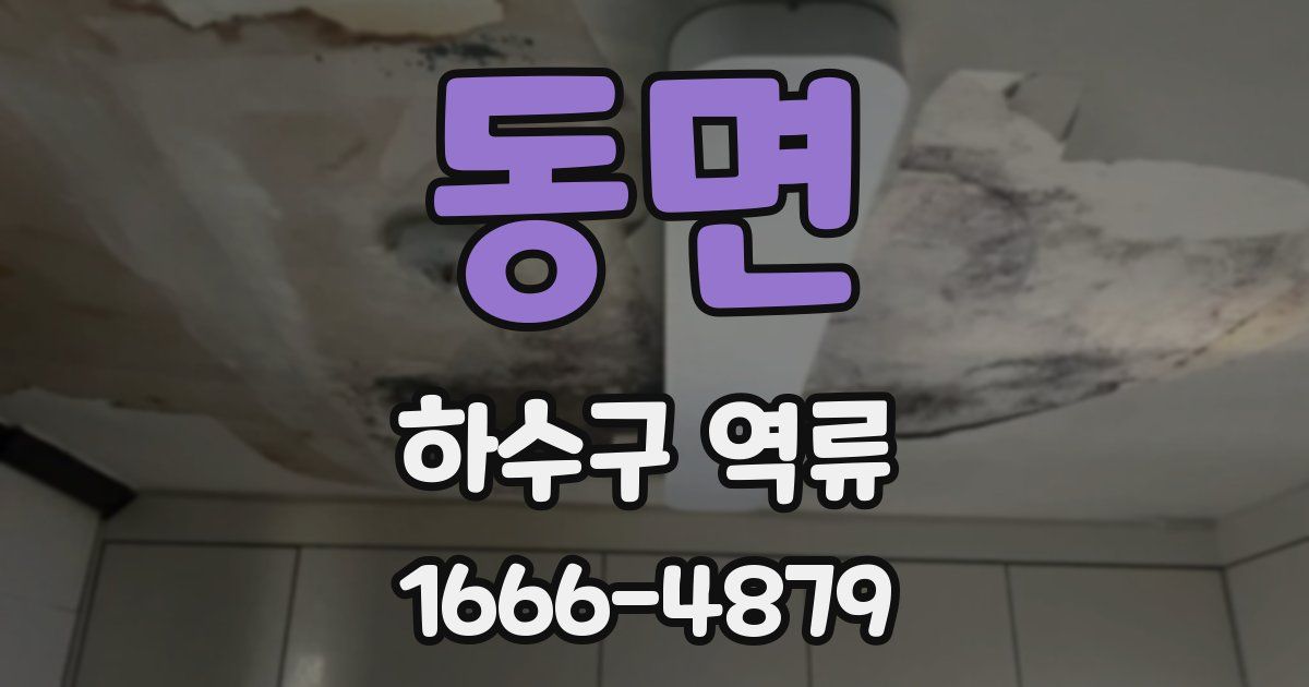 동면 하수구 역류