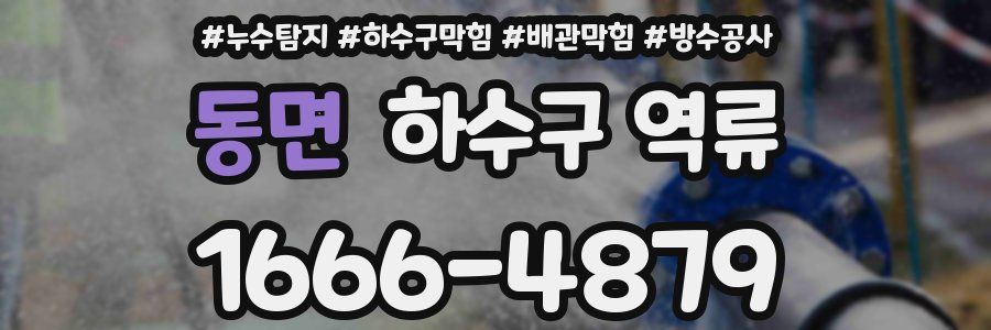 동면 하수구 역류