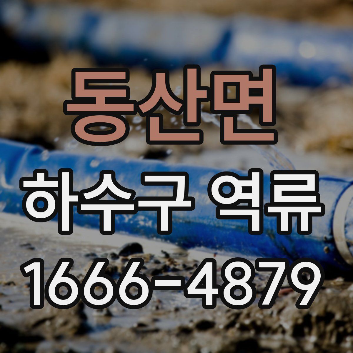 동산면 하수구 역류
