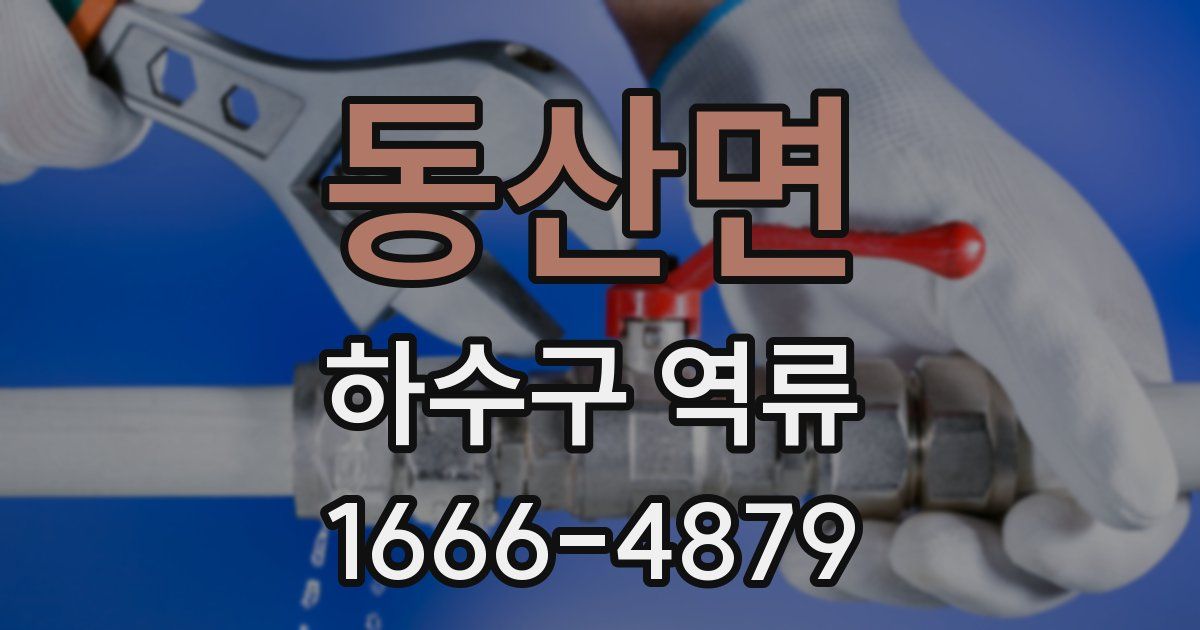 동산면 하수구 역류