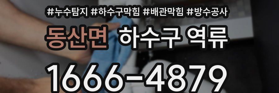 동산면 하수구 역류