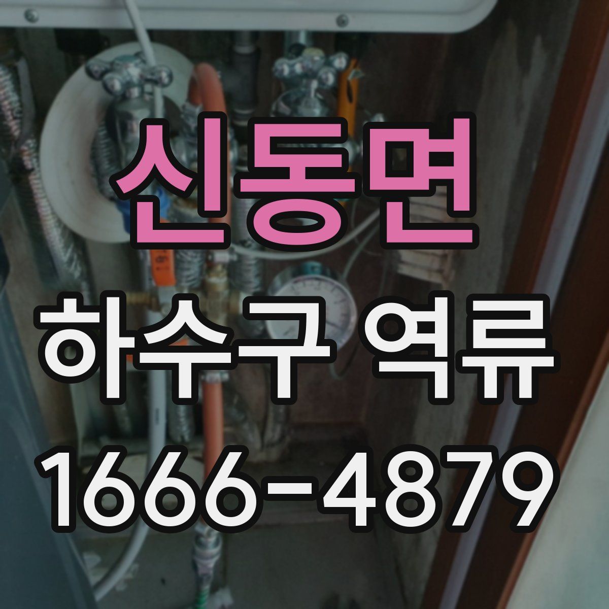 신동면 하수구 역류