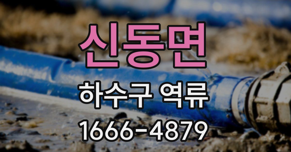 신동면 하수구 역류
