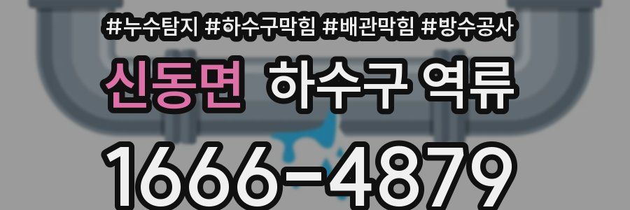 신동면 하수구 역류