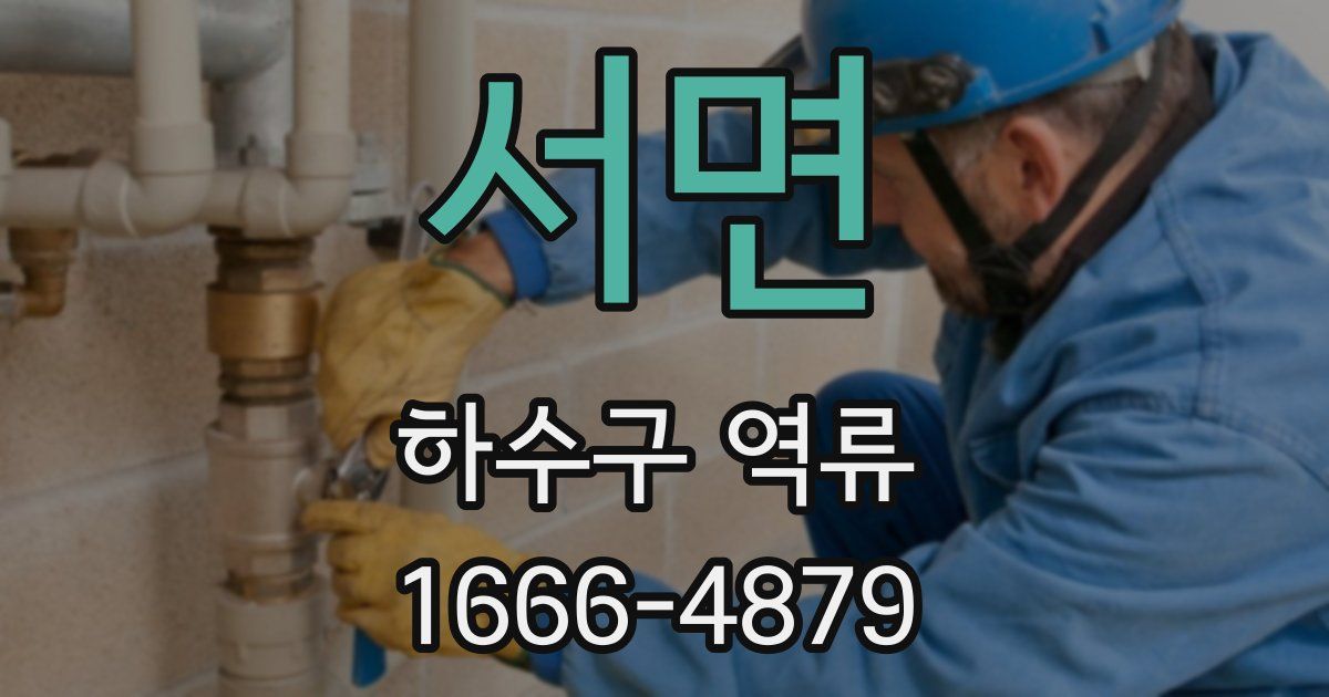 서면 하수구 역류